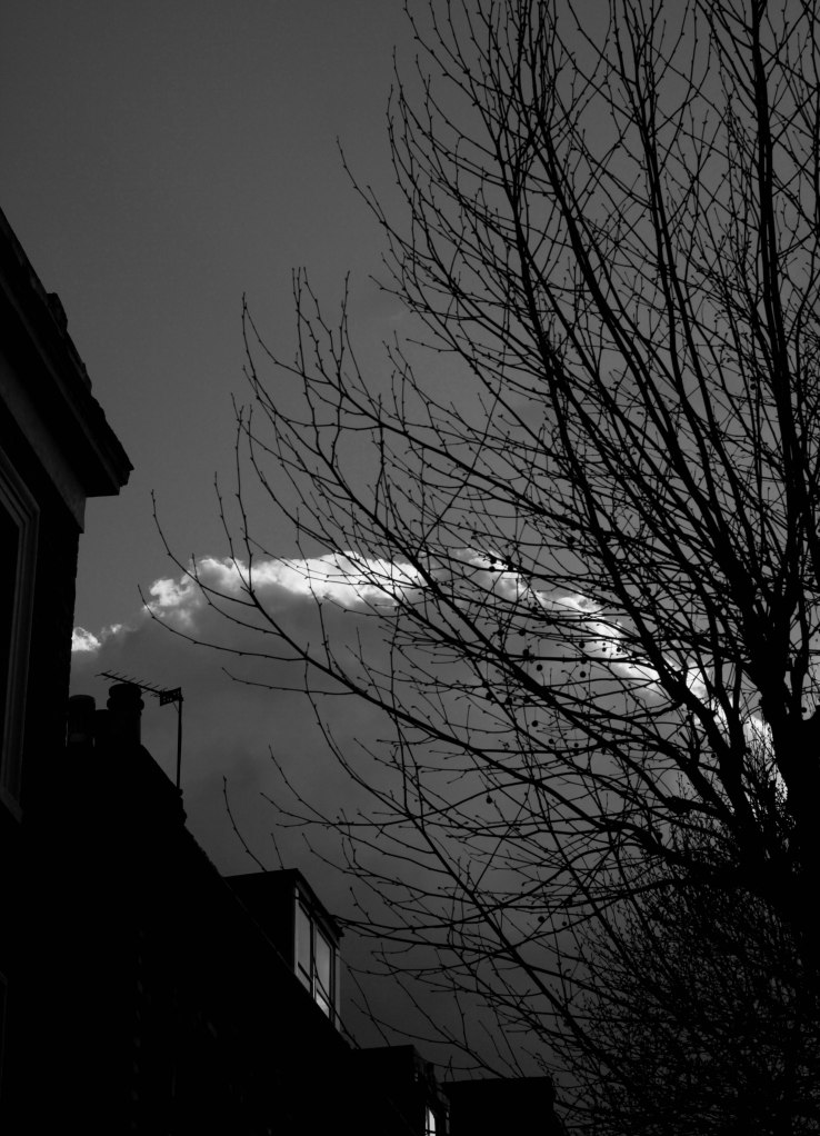 Sloane Square Sunday-6