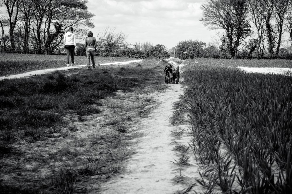 Rose Green Edit 1-10