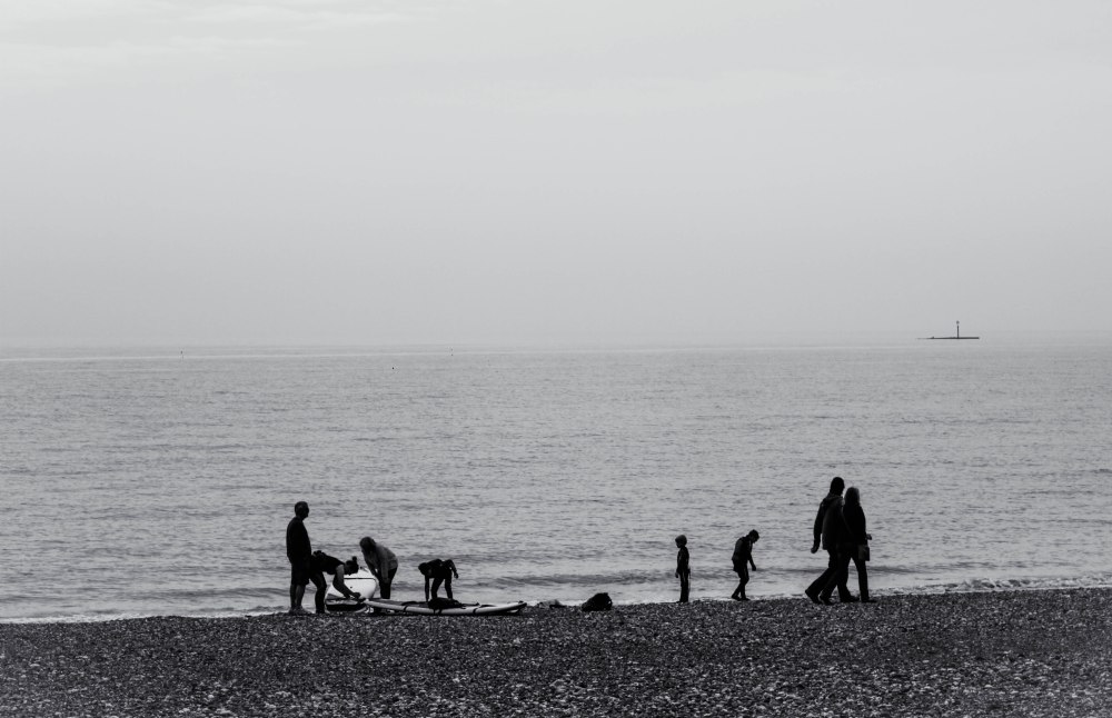 Rose Green Edit 1-13