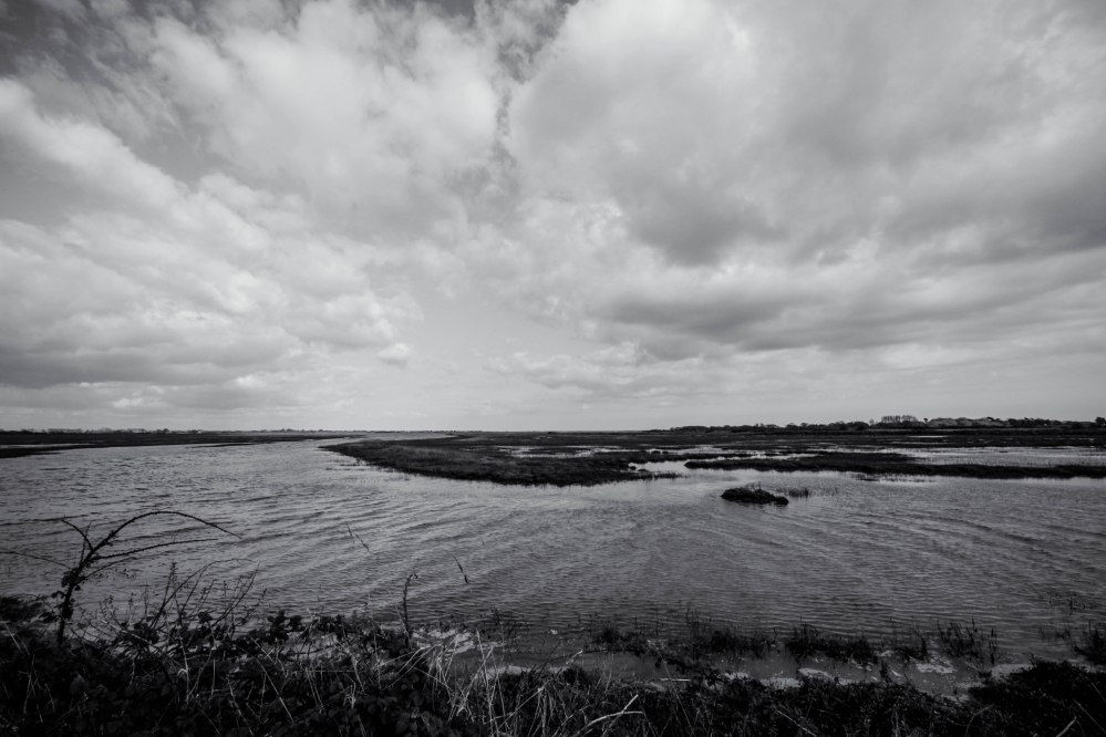 Rose Green Edit II-2