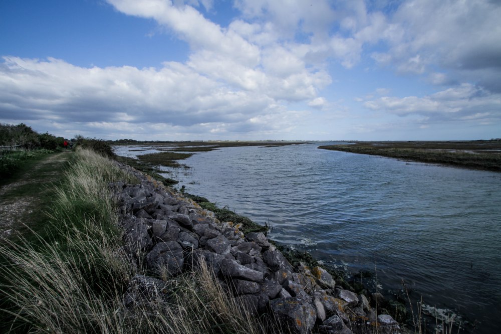 Rose Green Edit II-3