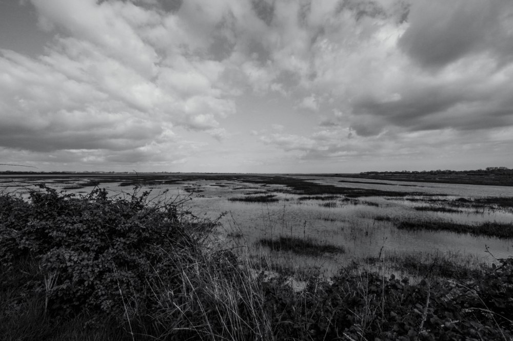 Rose Green Edit II-4