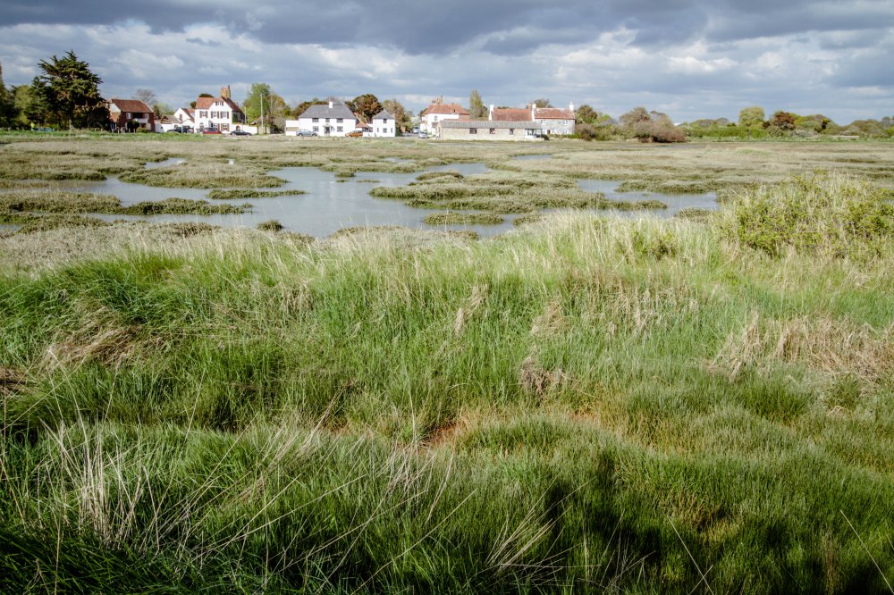 Rose Green Edit II-8