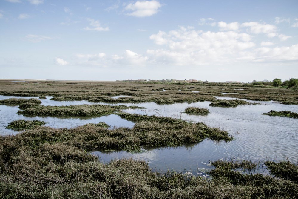 Rose Green Edit II-9