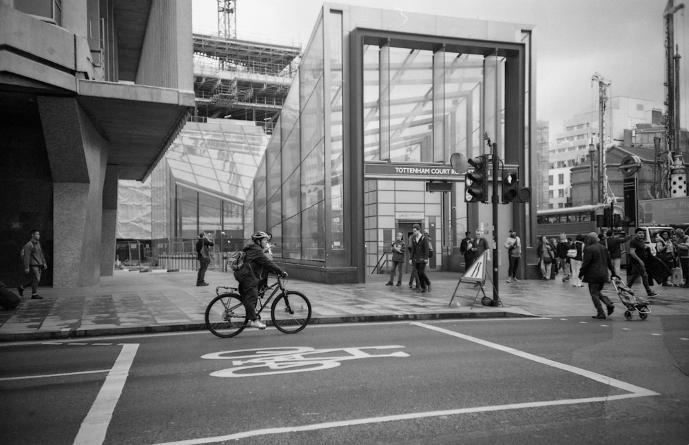 Portrait Break Wednesday-2