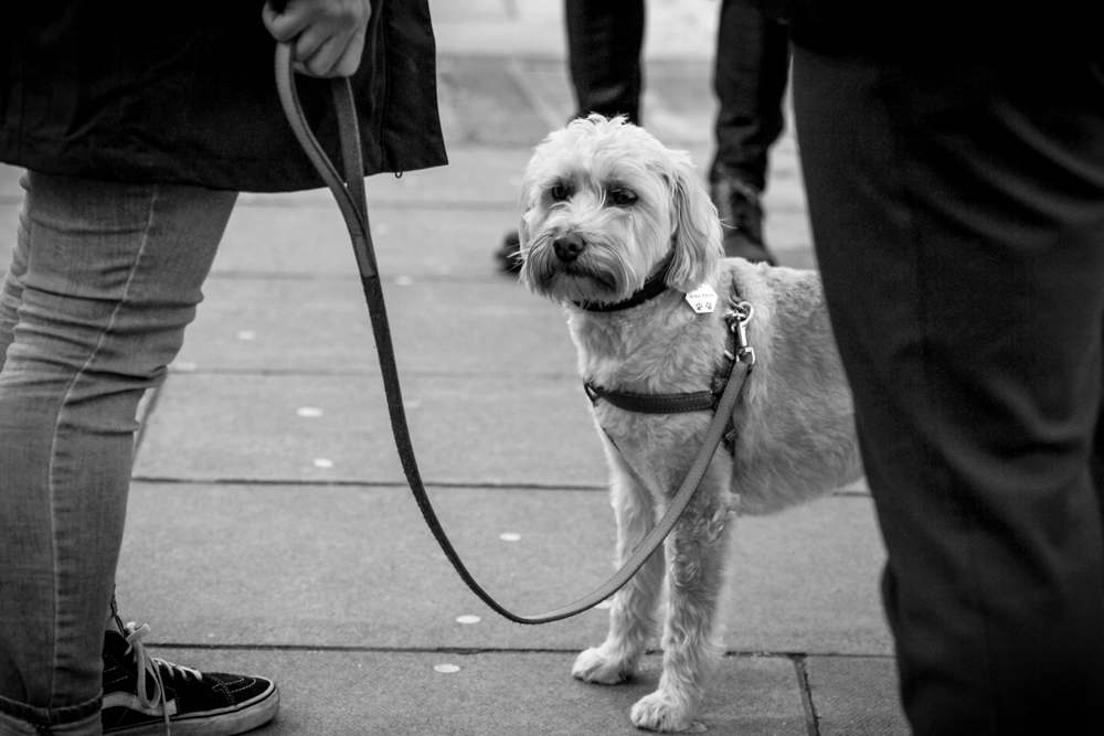 Stories from the picket line-11